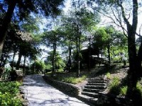 香格里拉休閒農場-森林浴步道