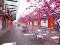 Sanyi Blossom Art Village Holiday Club-