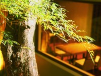 京都溫泉行館-餐廳外景