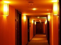 東鑫商務旅館-走廊一隅