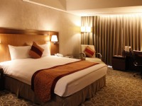 Evergreen Plaza Hotel Tainan-Deluxe Double Room