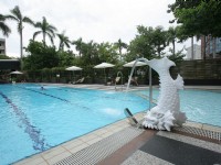 華園飯店-游泳池