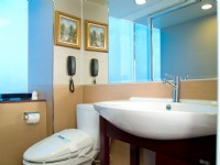 優美飯店-豪華商務房浴室