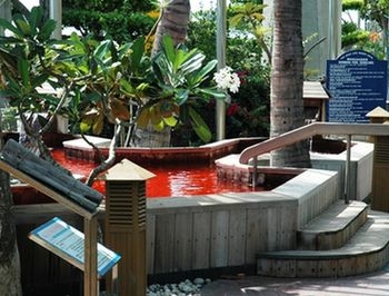 台灣檜木蘇木醇藥浴池